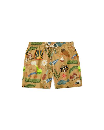 The Dudes Treasure Trail Swim Shorts